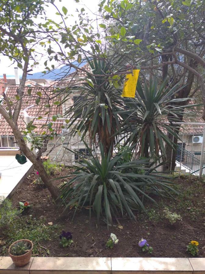 Apartment Cepic Herceg Novi Luaran gambar